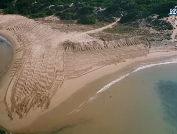 Come si è potuto spianare le dune? Il WWF  condanna lo scempio compiuto nelle spiagge di Agrigento