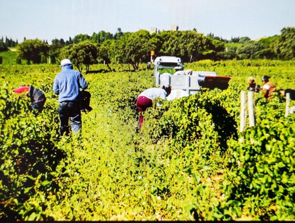 Misure rigorose necessarie per proteggere i lavoratori stagionali