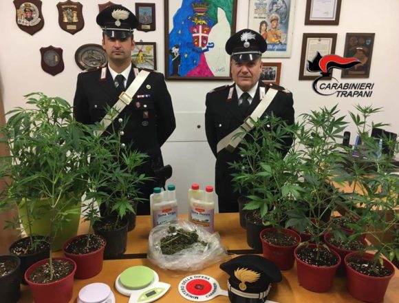 Marsala, coltivava marijuana. Arrestato