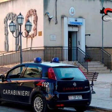 Sorpresi a tagliare alberi per legna. Arrestati  pensionato e  agricoltore dai carabinieri a Partanna