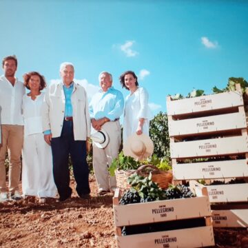 Le tre vendemmie 2020 Pellegrino in Sicilia: uve sane e buone concentrazioni zuccherine preannunciano ottime rese