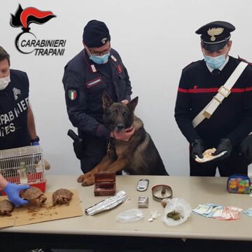 Trapani. Blitz dei Carabinieri: famiglia deteneva illegalmente non solo droga ma anche animali protetti