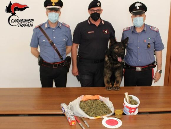 Marsala. I Carabinieri e il cane Lego trovano 500 gr di marijuana: arrestato un 30enne