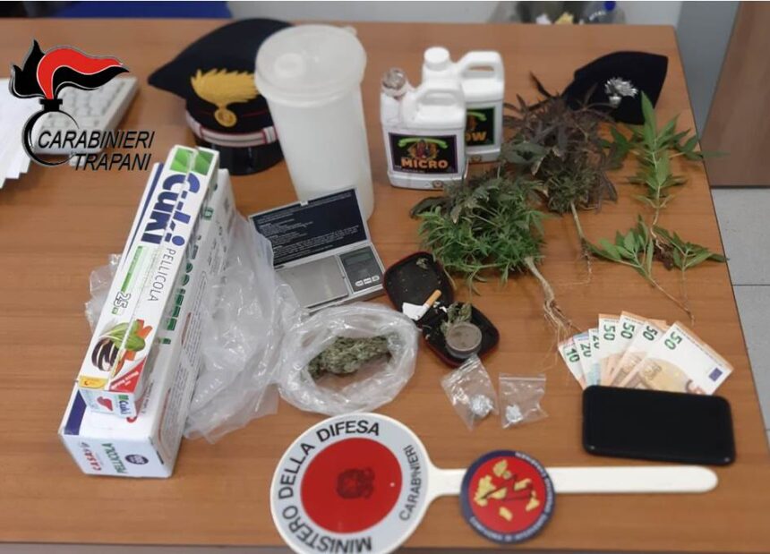 Alcamo. Coltivava marijuana per spacciarla: i Carabinieri arrestano 38enne