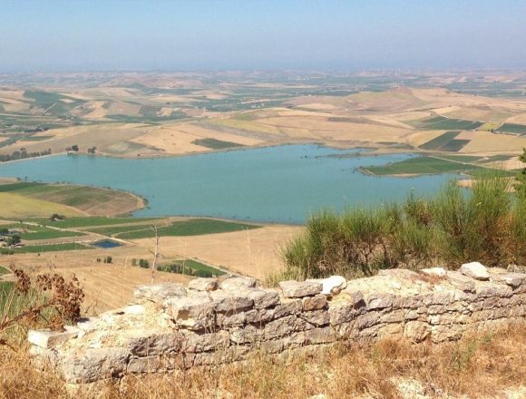 Alga rossa nella Diga Rubino, domani tavolo tecnico auspicato dal Sindaco Scarcella