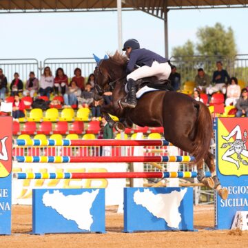 Tutto pronto per la terza edizione della Fiera mediterranea del cavallo dal 2 al 4 luglio ad Ambelia