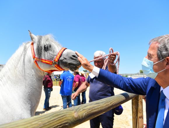 Sport equestri, ad Ambelia aperta la “Fiera mediterranea del cavallo”