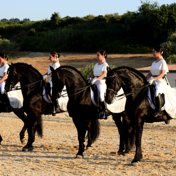 Terza Fiera Mediterranea del cavallo. Un pomeriggio immersi nella cultura equestre