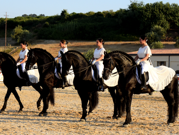 Terza Fiera Mediterranea del cavallo. Un pomeriggio immersi nella cultura equestre