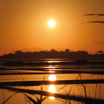 Oggi 24 luglio alle 19 a Mozia l’Edizione 2021 del “Solunto International Award”. La direttrice del Vomere Rosa Rubino: “Un imperativo morale per noi mostrare a tutti la bellezza e l’incanto dell’isola di Mozia”