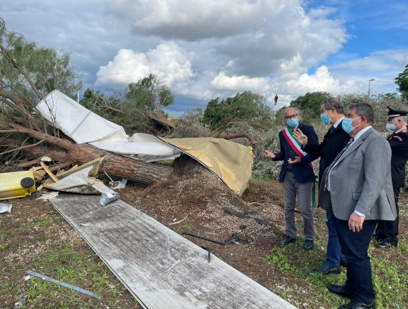 Maltempo, sopralluogo di Musumeci a Comiso nelle aziende danneggiate