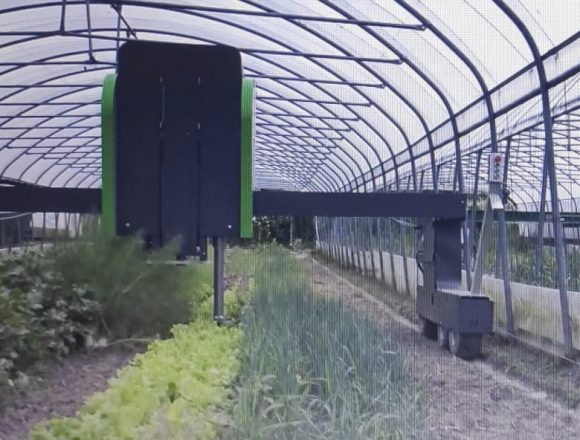 Intelligenza artificiale: in Sicilia le aziende agricole punteranno su tecnologia “Hortobot”