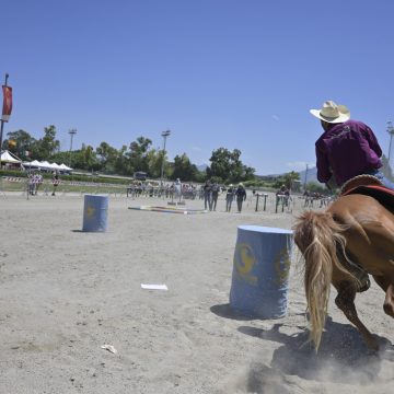 Numeri da record per la 4° edizione di Fiera Mediterranea del Cavallo all’Ippodromo La Favorita di Palermo