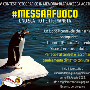 Uno scatto per il pianeta. Il sorriso del Pinguino di Petrosino lancia il contest fotografico #Messaafuoco