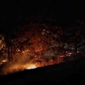 Quell’incendio che stava distruggendo gli alberi e la villa del notaio Lombardo a Misiliscemi in provincia di Trapani