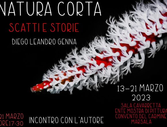 “Natura corta, Scatti e Storie” di Diego Leandro Genna alla Pinacoteca di Marsala lunedì 13 marzo ore 10,30