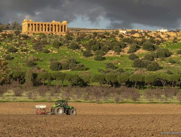 Esperienze di gusto alla Valle dei Templi | Apre Casa Barbadoro