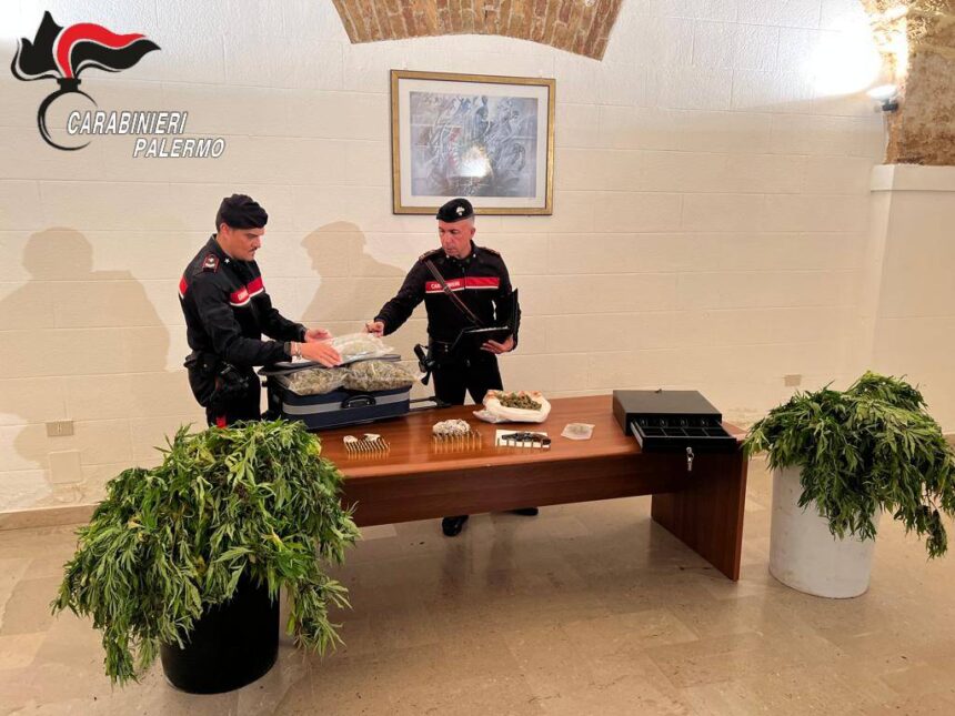 DETENZIONE DI ARMA CLANDESTINA E COLTIVAZIONE DI DROGADUE ARRESTATI DEI CARABINIERI A BORGO NUOVO 