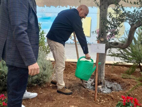 Festa dell’albero, Sammartino e Turano piantumano due olivi a Catania e Alcamo con gli studenti delle scuole