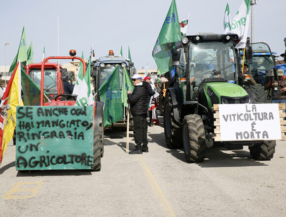 Marsala, grande partecipazione oggi alla protesta degli agricoltori. Domani mattina trattori si muoveranno in corteo per le vie della città