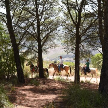 La terza edizione del Raduno Equestre alla scoperta del Parco Archeologico di Segesta, dei boschi e dei luoghi storici della Provincia di Trapani