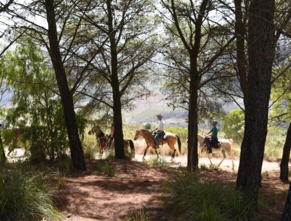 La terza edizione del Raduno Equestre alla scoperta del Parco Archeologico di Segesta, dei boschi e dei luoghi storici della Provincia di Trapani