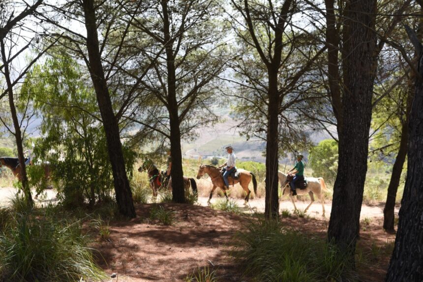 La terza edizione del Raduno Equestre alla scoperta del Parco Archeologico di Segesta, dei boschi e dei luoghi storici della Provincia di Trapani