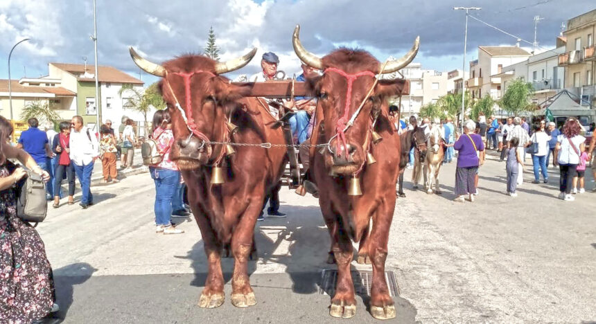 Festa dell’Agricoltura a Santa Ninfa: “Riflettori su comparto in  crisi”